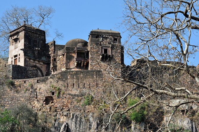 03 Days Private Ranthambore Wildlife Safari Tour From Delhi - What the $220 price covers