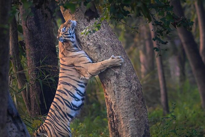 05 Days - Private Luxury Golden Triangle Tour with Ranthambore - The route in plain English