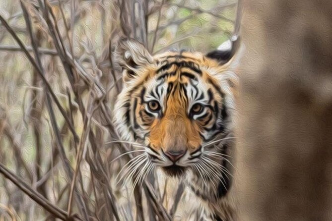 05 Days - Private Luxury Golden Triangle Tour with Ranthambore - Day 2: Sunrise at the Taj Mahal, then Agra Fort