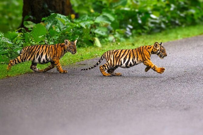05 Days - Private Luxury Golden Triangle Tour with Ranthambore - Day 4: Jaipur’s royal center