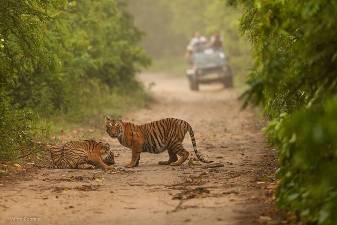 05 Days - Private Luxury Golden Triangle Tour with Ranthambore - Day 5: Amber Palace and the road back to Delhi
