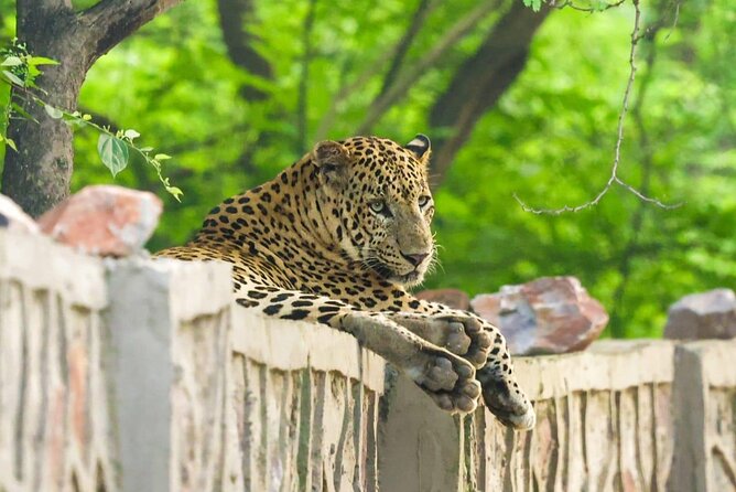 05 Days - Private Luxury Golden Triangle Tour with Ranthambore - Day 1: Delhi from ancient tower to Old Delhi lanes