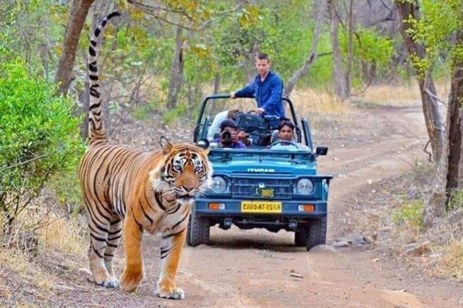06 Days Golden Triangle Tour with Ranthambore Safari - Key points at a glance
