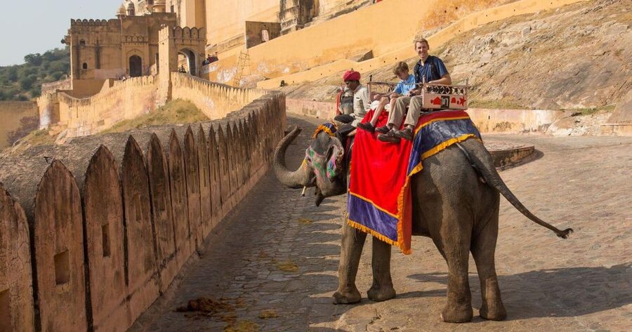 06 Days Golden Triangle Tour with Ranthambore Safari - Why Ranthambore changes the Golden Triangle