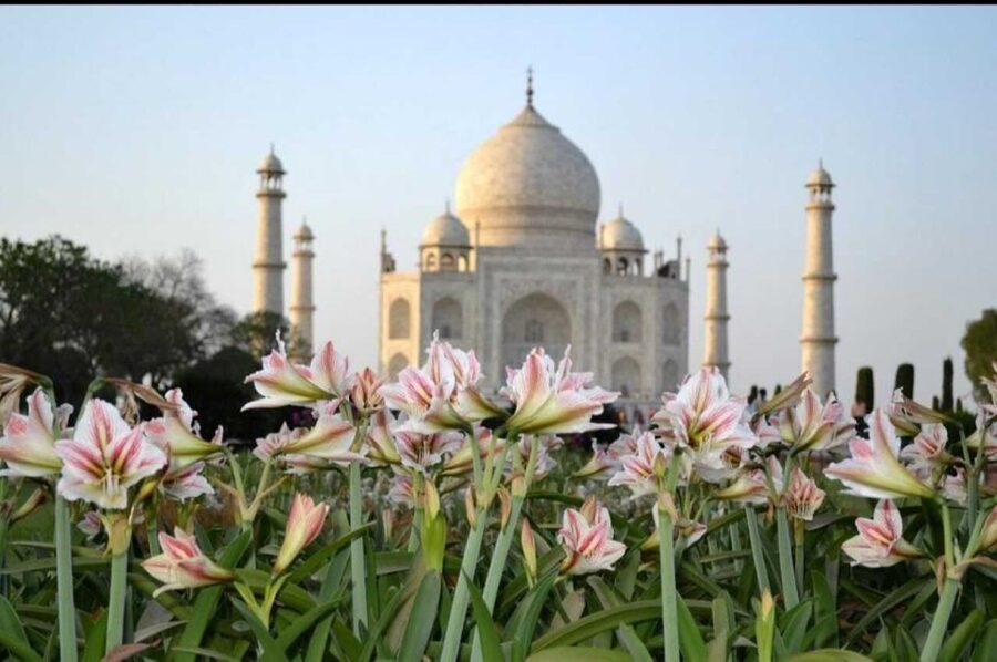 06 Days Golden Triangle Tour with Ranthambore Safari - Day two: Delhi’s monuments before the road to Jaipur