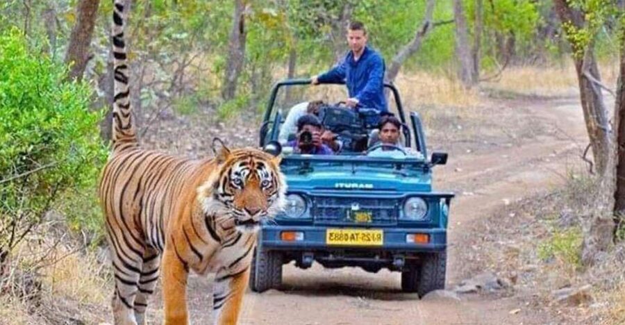 06 Days Golden Triangle Tour with Ranthambore Safari - Day one: A simple arrival in Delhi