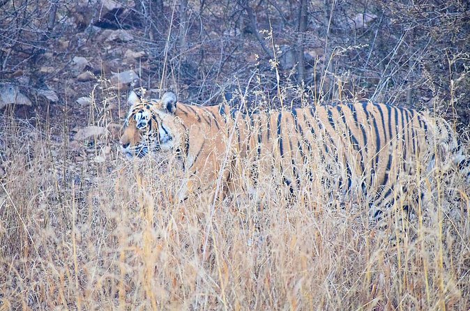 12-Days - Splendors of Golden Triangle & Rajasthan - Jodhpur turns the route blue