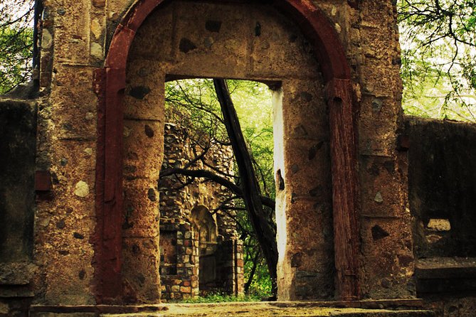 3-Hour Mehrauli Archaeological Park Ruins Walking Tour Delhi - Birds, trees, and a quieter side of Delhi