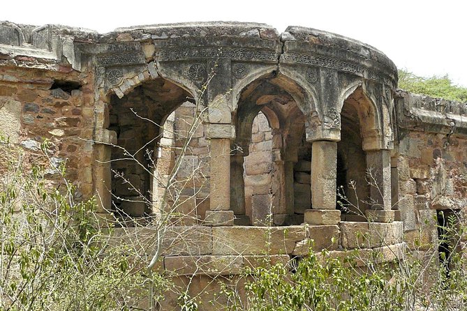 3-Hour Mehrauli Archaeological Park Ruins Walking Tour Delhi - Is $28.47 a fair price?