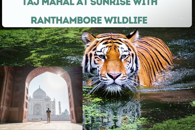 4 Day Golden Triangle Tour with Ranthambore Tiger Tour - What the $449 price really covers