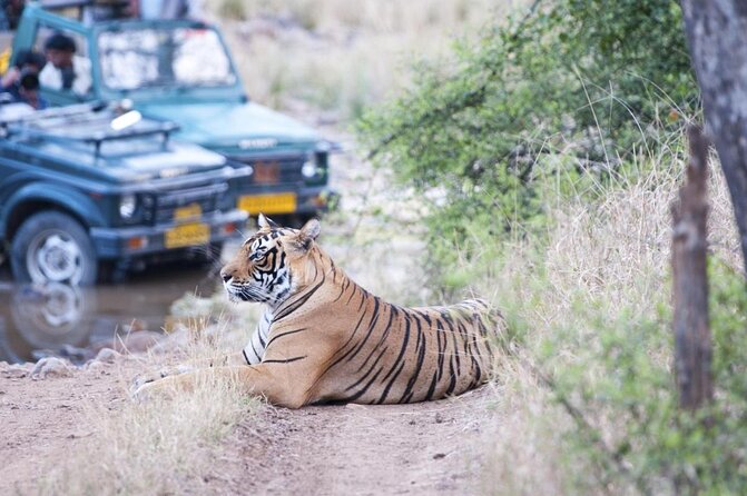 4 Day Golden Triangle with Ranthambore Tiger Safari Tour from Delhi - Four days, four very different sides of North India