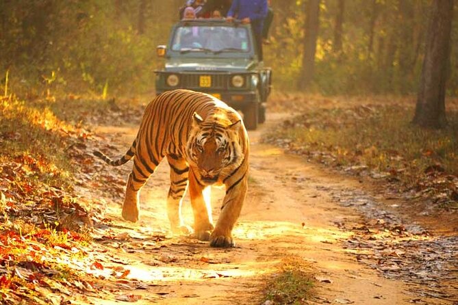 4-Day Private Ranthambhore Tiger Tour Including Delhi, Agra and Jaipur - Delhi begins with Mughal tombs and modern India