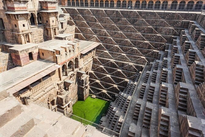 5-Day Golden Triangle Delhi Agra Jaipur Tour with Leopard Safari - Day 4: A three-hour search for leopards at Jhalana