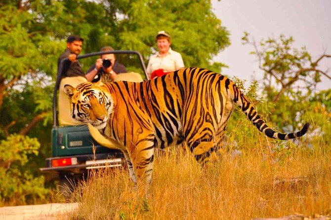 5 Days Golden Triangle Tour with Ranthambore Delhi Agra Jaipur - Day Two: Taj Mahal at Sunrise and Agra Fort