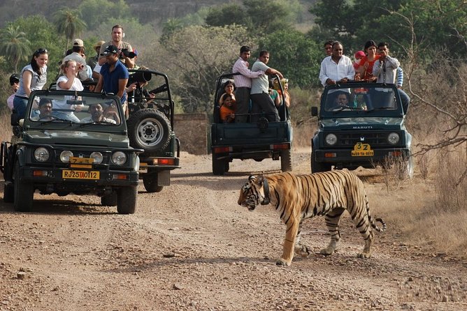5 Days Golden Triangle Tour with Ranthambore Tiger Safari - Day 1: Lutyens Delhi and the India Gate