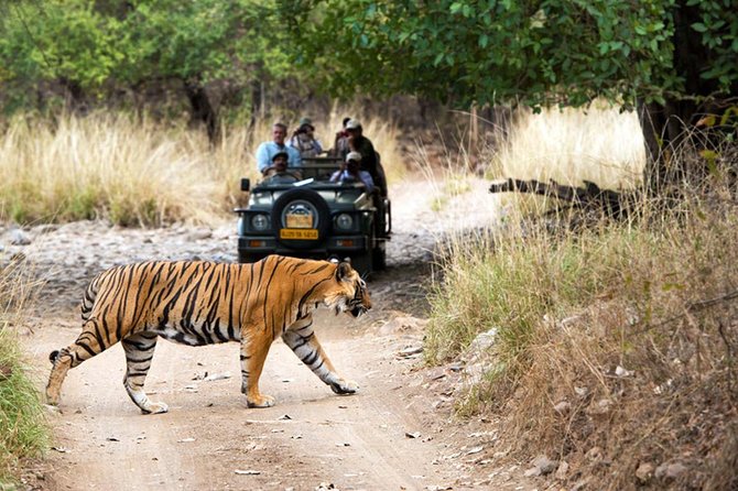 5 Days Golden Triangle Tour with Ranthambore Tiger Safari - How tiring is the schedule?