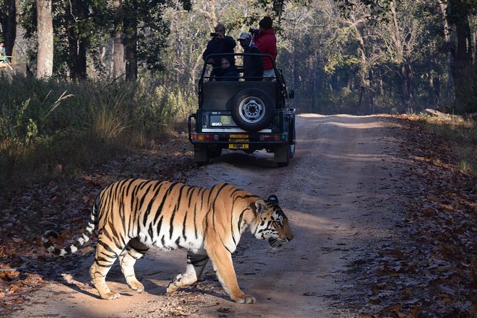 6 Days Golden Triangle Tour with Ranthambore: Delhi Agra Jaipur Ranthambore Tour - A fast route from Delhi to tiger country