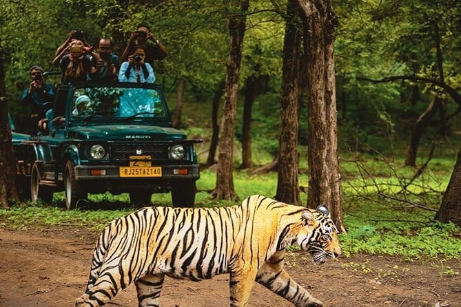 6 Days Golden Triangle with Ranthambore & Varanasi Tour - What the $629.10 price really covers