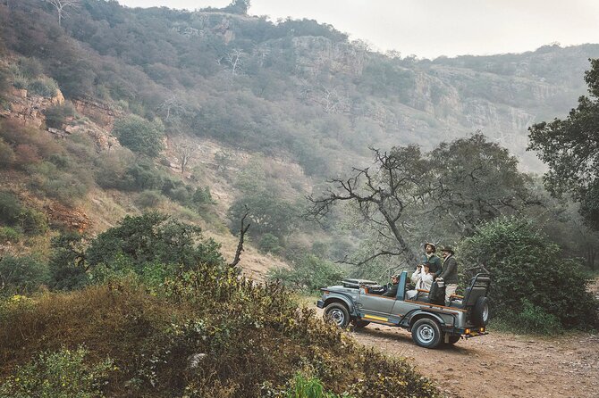 7-Day Golden Triangle Tour with Ranthambore Tiger Safari - Day 1 in Delhi begins with flexible pickup
