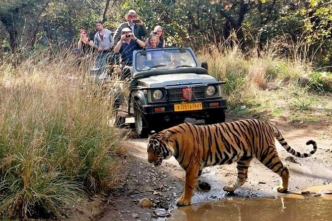7-Day Golden Triangle Tour with Ranthambore Tiger Safari - Fatehpur Sikri breaks up the road to Ranthambore