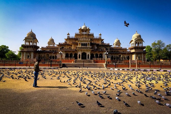 7 - Days Private Incredible Golden Triangle Tour of India - Guides, drivers, and the private format