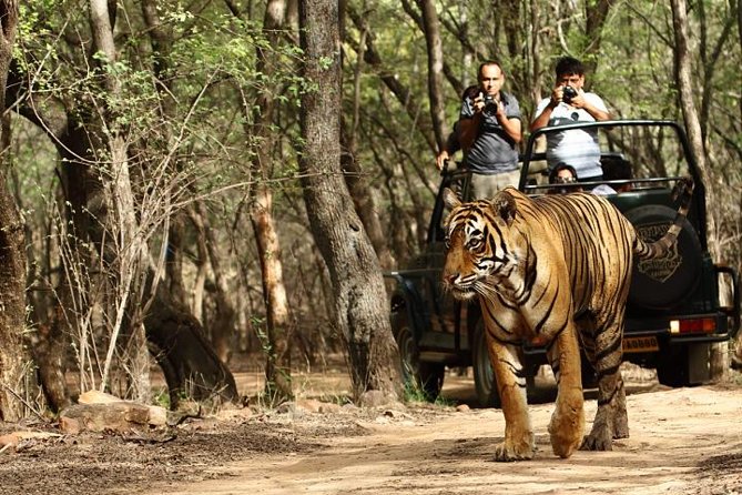 8-Day Private Golden Triangle Tour with a Ranthambore Wildlife Safari From Delhi - Day 2: Delhi’s Mughal monuments and busy old streets