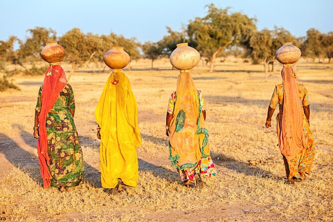 8 Days Golden Triangle Tour with Ranthambore Tiger Tour - Delhi begins with Old City streets and Mughal landmarks