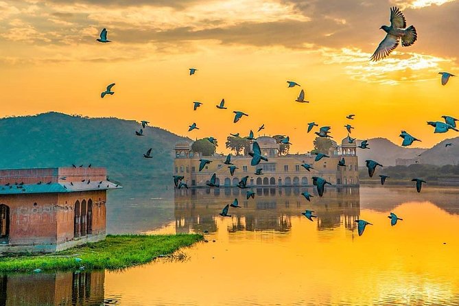 All Inclusive : 5 Days Golden Triangle Tour : Delhi, Agra, Jaipur - Day 5: Choosing your final drop-off