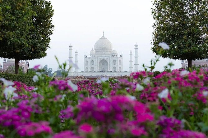 All Inclusive Same Day Taj Mahal and Agra Fort Tour from Delhi - Lunch, tickets, and the details you should confirm