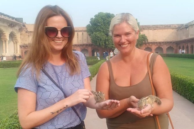 All Inclusive: Same day Taj Mahal Tour From Delhi - A private road trip from Delhi to the Taj Mahal