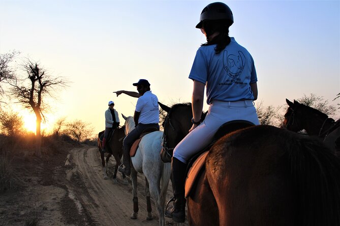 Aravali Trail Experience( Jungle Safari Forest area)- Horseback Riding - Key points to know before you book