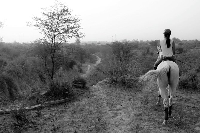 Aravali Trail Experience( Jungle Safari Forest area)- Horseback Riding - Leaving Gurugram behind at 6:00 am