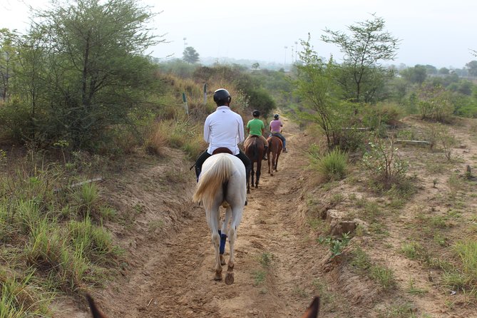 Aravali Trail Experience( Jungle Safari Forest area)- Horseback Riding - Price, timing, and what the $14 covers