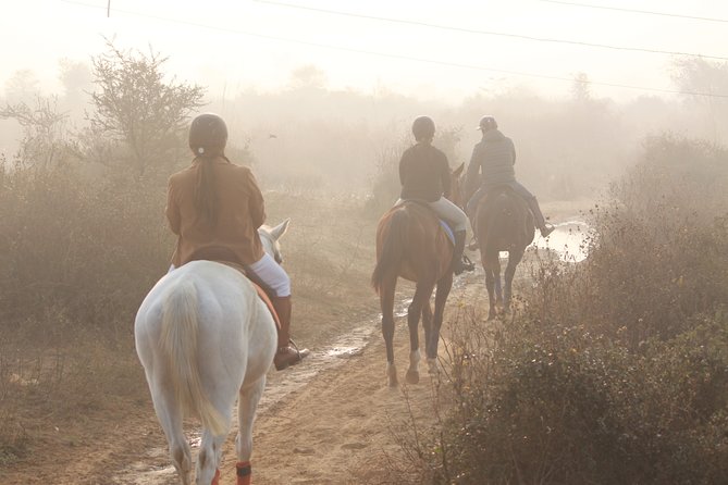 Aravali Trail Experience( Jungle Safari Forest area)- Horseback Riding - Meeting your horse and getting ready