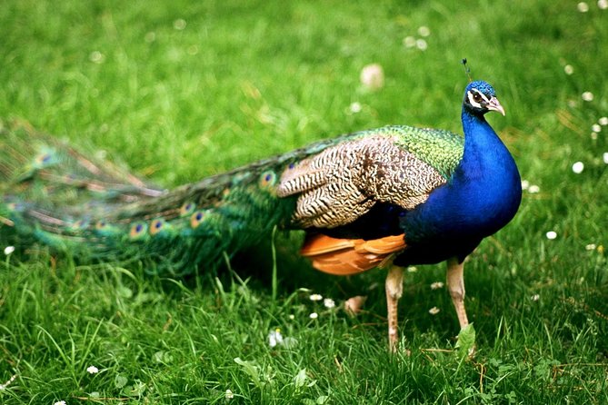 Bharatpur Bird watching & Wildlife from Delhi - The 6:30 am drive to Bharatpur