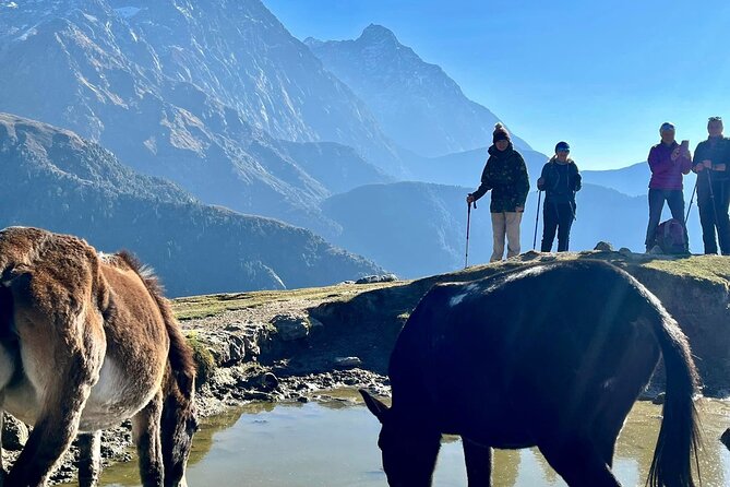 Dalai Lama Himalayan Trek - Day 5: Village paths and Naddi View Point