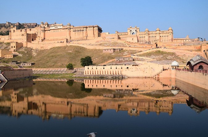 Delhi, Agra, Jaipur & Ranthambhore Tiger Safari 5-Day Tour - My verdict: a strong first taste of northern India