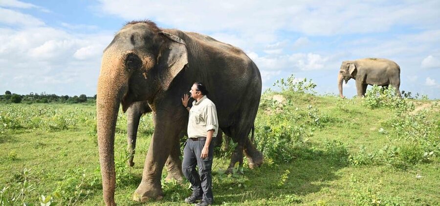 Delhi: All-Inclusive Day trip Taj Mahal with Elephant SOS - Should you book this Delhi to Agra trip?