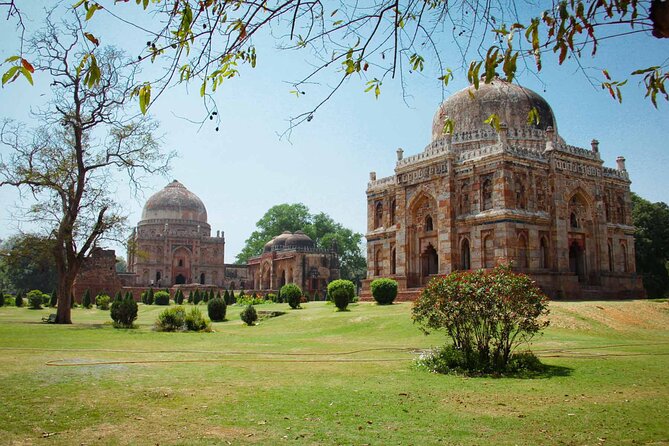 Delhi Full Day Sightseeing by Car - Why a private car makes sense in Delhi