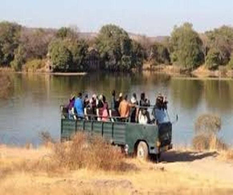 Delhi: Ranthambore National Park 3-Day Trip w/ Tiger Safari - Should you book the Ranthambore trip?