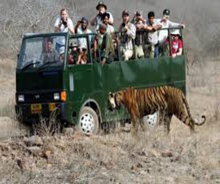 Delhi: Ranthambore National Park 3-Day Trip w/ Tiger Safari - What the $92 price includes, and what it does not