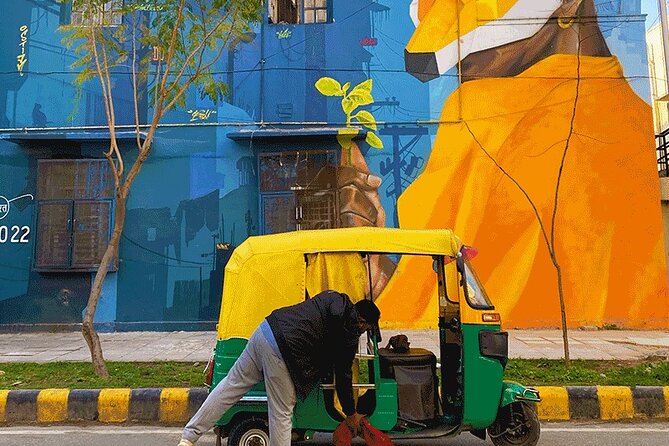 Delhi Street Art Walk in Lodhi Art District with Chai & Food - What JD adds to the walk