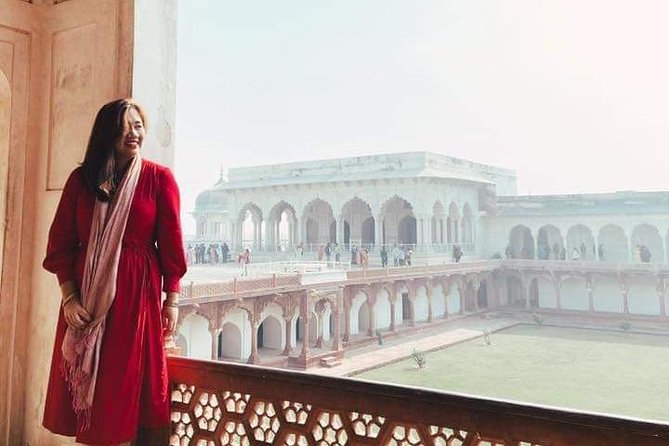 Delhi : Sunrise Taj Mahal & Elephant conservation - All Inclusive - Meeting elephants at Wildlife SOS