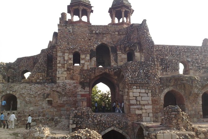 Delhi Zoo White Tigers & lions with Old Fort Visit - Should you book the Delhi Zoo and Old Fort tour?