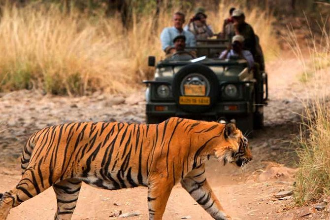 Five Days Golden Triangle Tour with Ranthambore Delhi Agra Jaipur - Day 2: The Taj Mahal at sunrise and Agra Fort