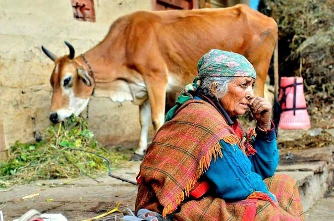 Food Tour With Cooking Class in Local Village from Delhi - What the day reveals about India