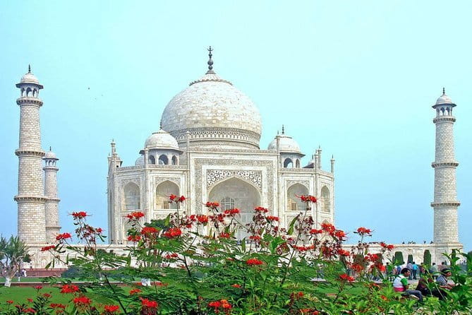 From Delhi: 1-day trip Mathura with Elephant conservation - What the private format changes