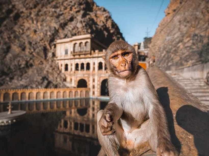 From Delhi: 2-Day Agra & Jaipur Golden Triangle Experience - Why this two-day route works, and where it strains