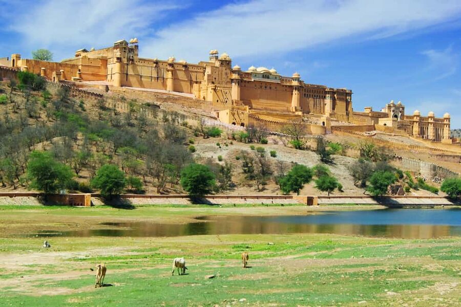 From Delhi: 8-Day Golden Triangle Jodhpur Udaipur Tour - Day 1: Delhi arrival and a gentle start