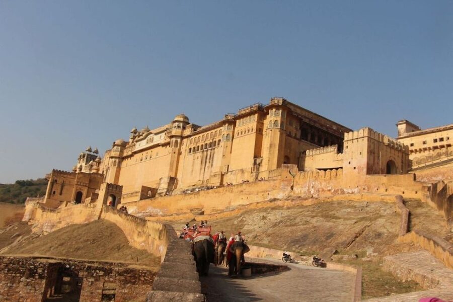 From Delhi: All-Inclusive Same-Day Jaipur Tour By Car Tour - Lunch is useful, but check what your price covers